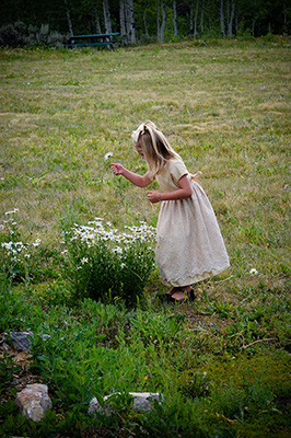 Best Snow Mountain Ranch Wedding Photos - Sandra Johnson (SJFoto.com)